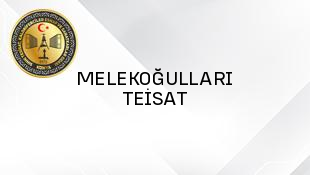 MELEKOĞULLARI TEİSAT